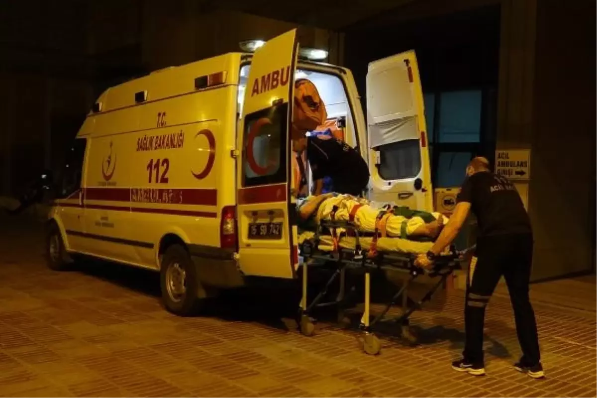 Tefenni'de Otomobil ile Hafif Ticari Araç Kafa Kafaya Çarpıştı: 2 Ölü, 6 Yaralı