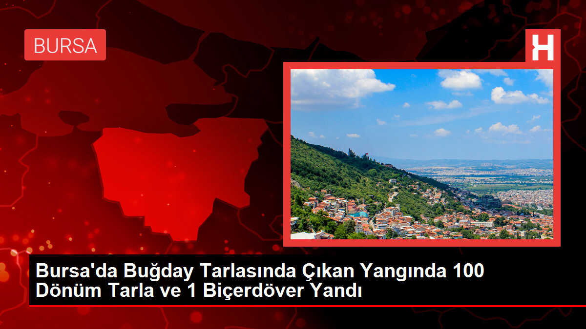 Bursa'da Buğday Tarlasında Çıkan Yangında 100 Dönüm Tarla ve 1 Biçerdöver Yandı