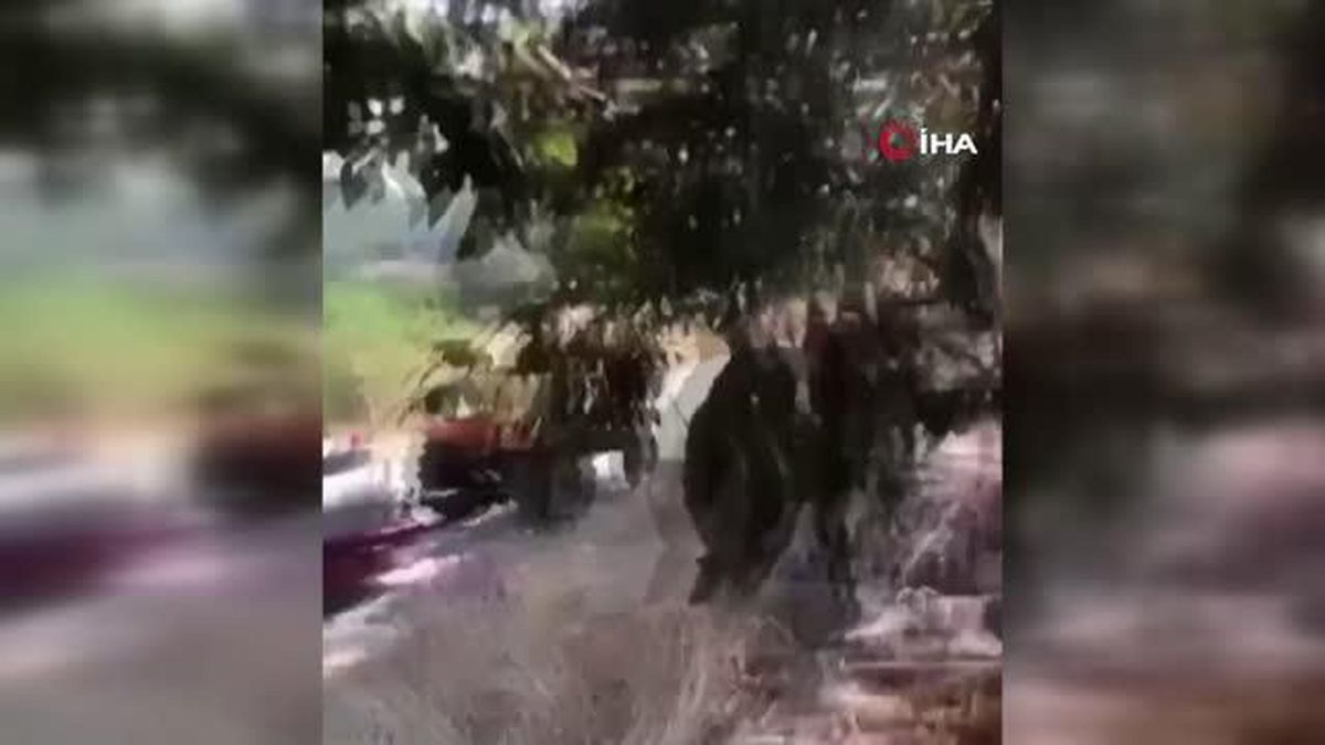 Bursa'da 100 dönüm buğday tarlası ve 1 biçerdöver kül oldu