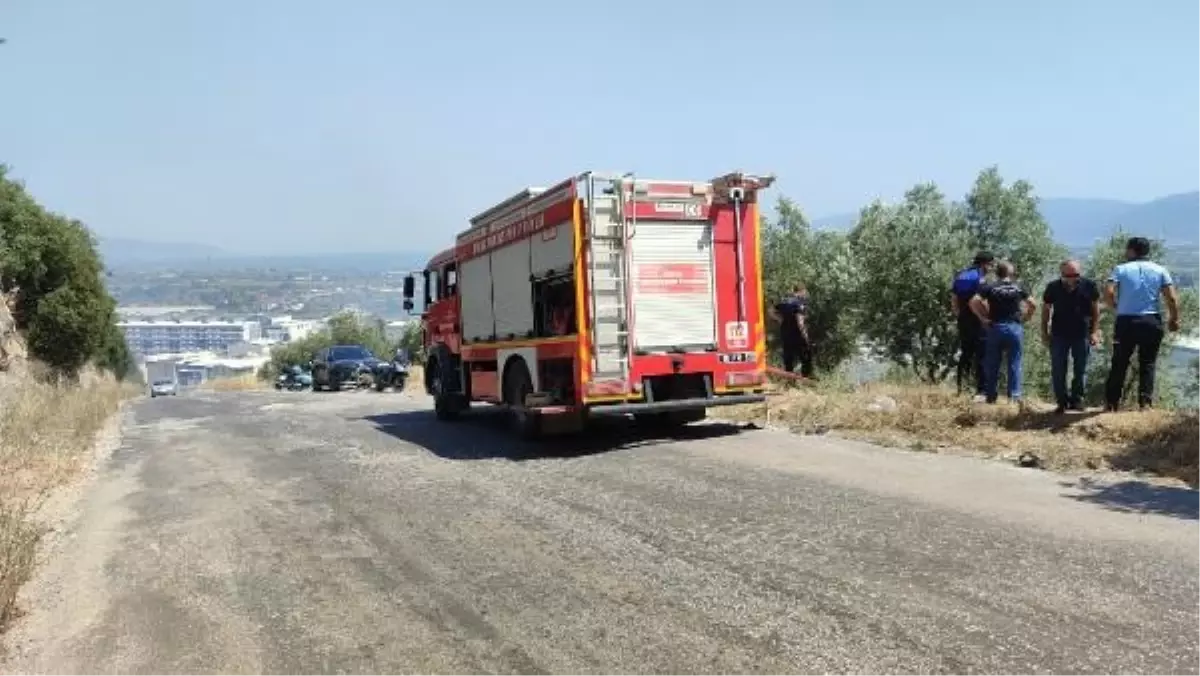 Orhangazi'de Zeytinliklerde Yangın Çıktı