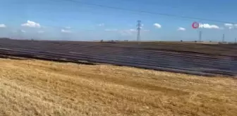 Edirne'de anız yangını söndürüldü