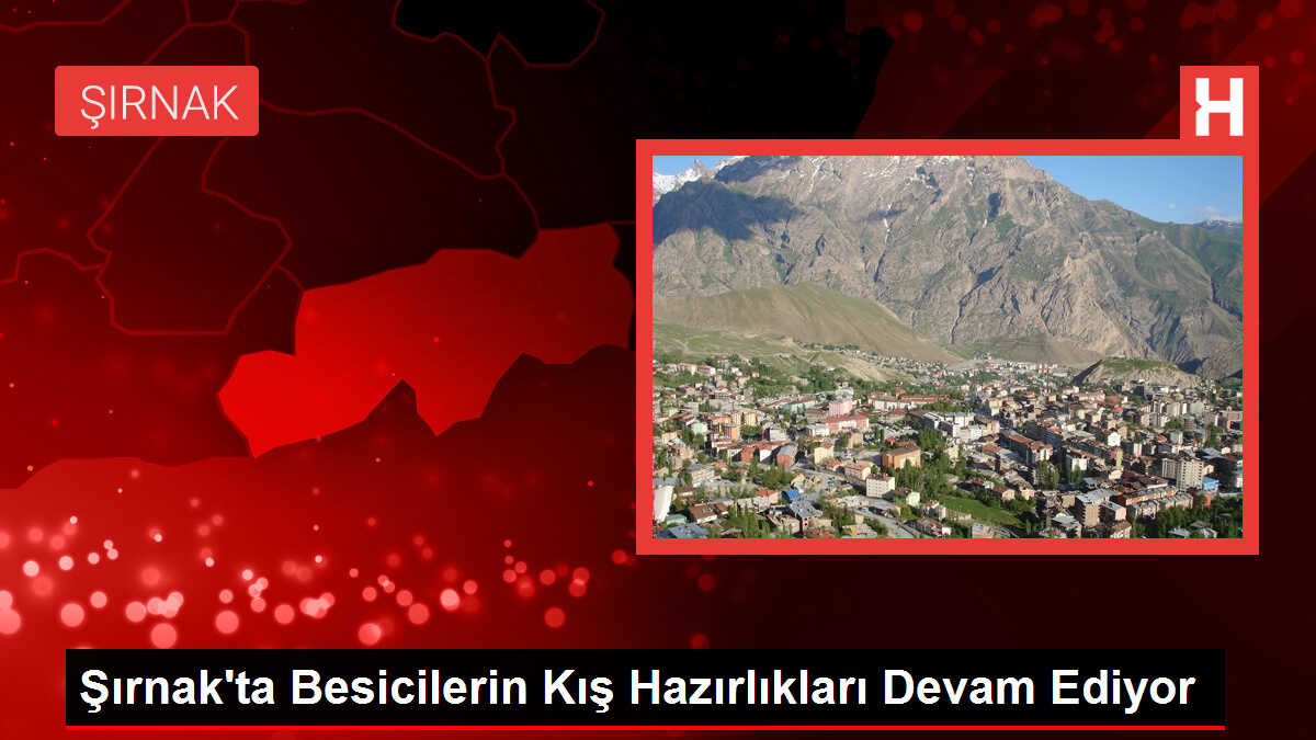 Şırnak'ta Besicilerin Kış Hazırlıkları Devam Ediyor