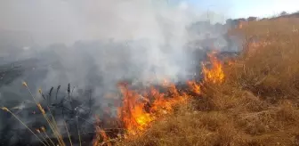 Maltepe'de otluk alanda çıkan yangın söndürüldü