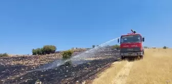 Tunceli'de çıkan örtü yangınları söndürüldü