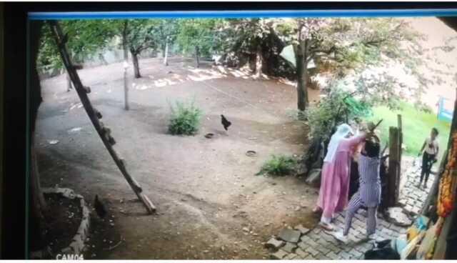 Yaşlı kadın, 'Burada uyuşturucu satmayın' dediği için sopalı saldırıya uğramış Yaşlı kadın, 'Burada uyuşturucu satmayın' dediği için sopalı saldırıya uğramış