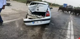 Adana'da TIR Kazası: Bir Kişi Hayatını Kaybetti