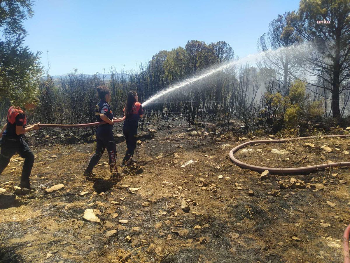 Aydın Büyükşehir Belediyesi İtfaiyesi, Yenipazar'da çıkan yangına müdahale etti