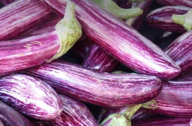 Çöpe atılan patlıcan sapı şifa deposu çıktı! Faydaları inanılmaz