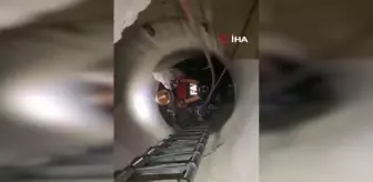 Giresun'da minarede mahsur kalan baykuş kurtarıldı