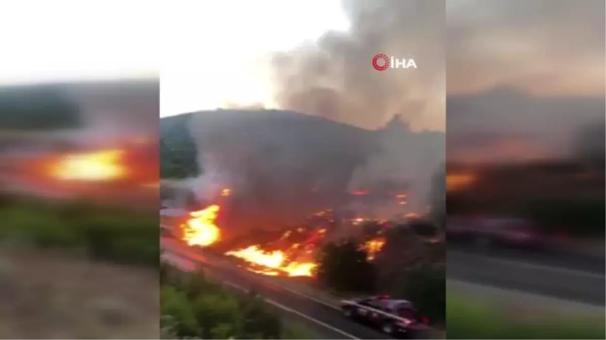 Gördes'te kamyonda çıkan yangın ormana sıçradı