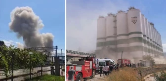 Kocaeli'de TMO deposunda patlama: 3'ü ağır 12 kişi yaralandı