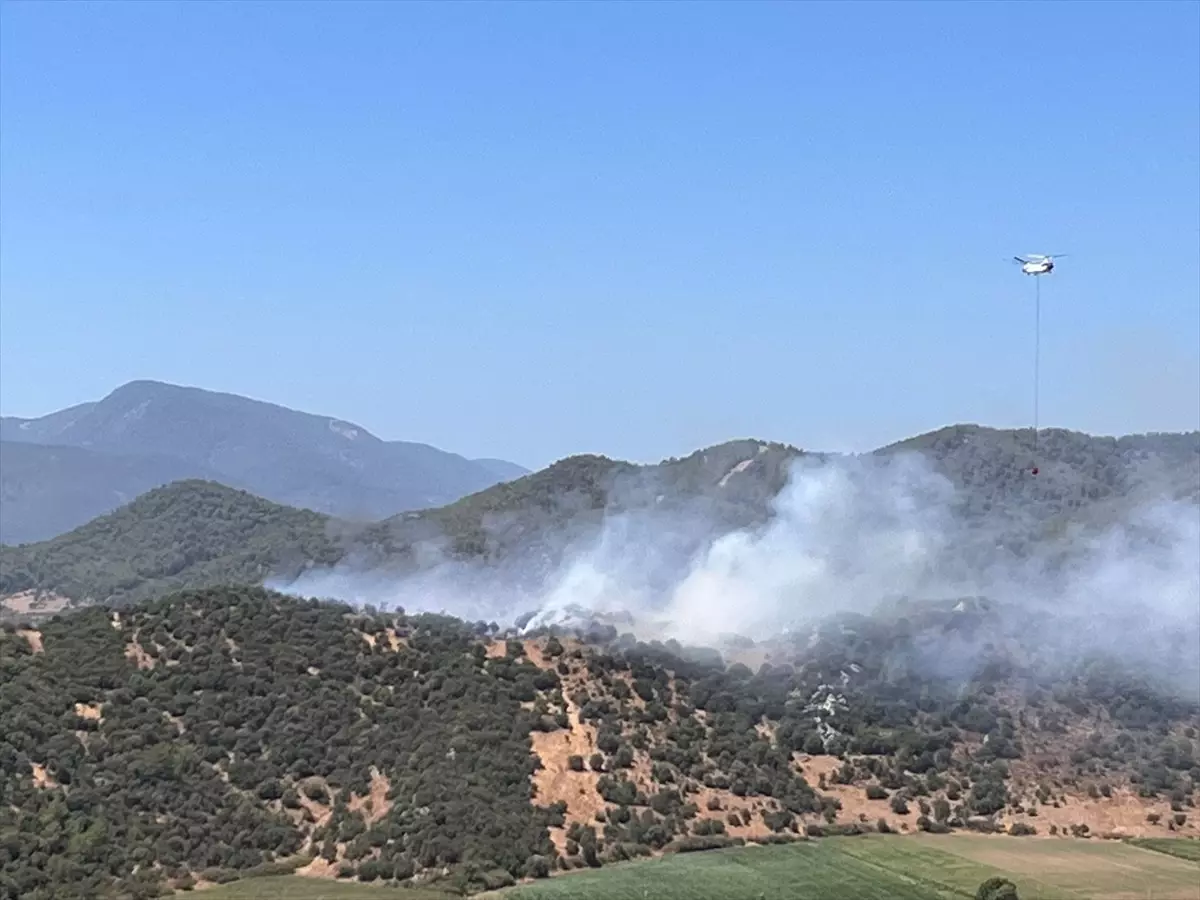 Muğla'da çıkan yangın söndürüldü
