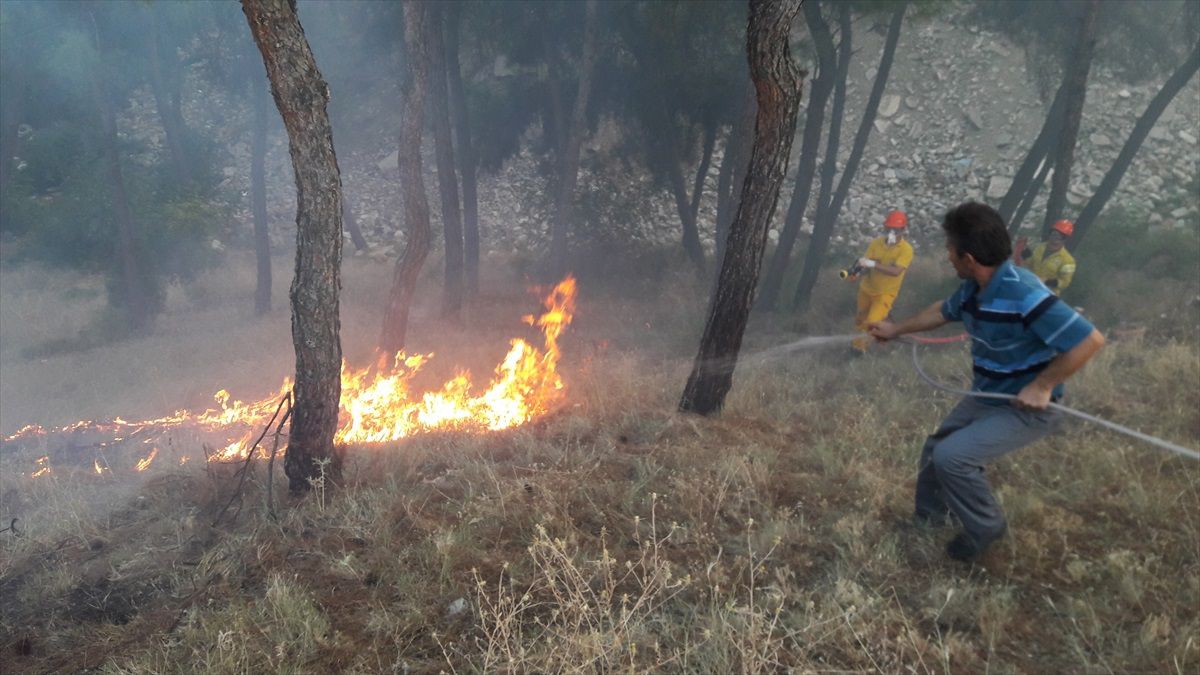 Boyabat'ta çıkan orman yangını söndürüldü