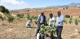 Şırnak'ta Terk Edilen Köylerdeki Araziler Fıstık Bahçelerine Dönüştürülüyor