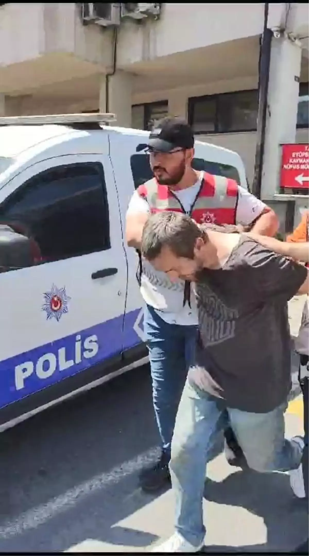 Eyüpsultan'da Sokak Kedilerine Asit Döken Şahsa Para Cezası ve Hayvan Bulundurma Yasağı