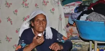 Diyarbakır'da 6 torunuyla TIR dorsesinde yaşam mücadelesi veren kadın