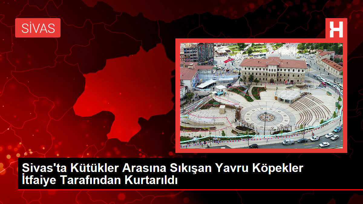 Sivas'ta Kütükler Arasına Sıkışan Yavru Köpekler İtfaiye Tarafından Kurtarıldı
