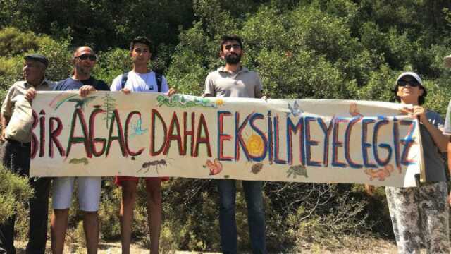 Akbelen olayı nedir? Akbelen Ormanı son durum nedir? Akbelen ağaçlar neden kesiliyor, kim kesiyor?