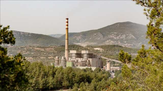 Akbelen olayı nedir? Akbelen Ormanı son durum nedir? Akbelen ağaçlar neden kesiliyor, kim kesiyor?
