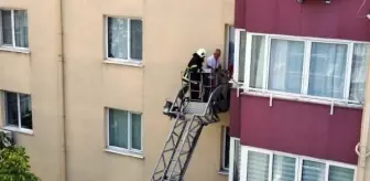 Edirne'de Dünya Kediler Günü'nde kurtarma operasyonu