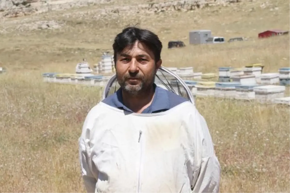 Erdemli'de 2,5 Ton Bal Üretildi