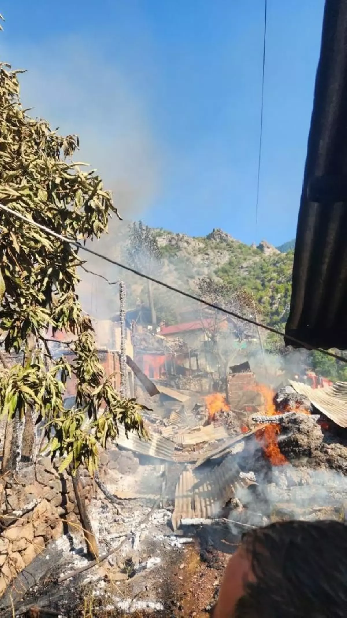 Artvin'de çıkan yangında 5 ev kullanılamaz hale geldi