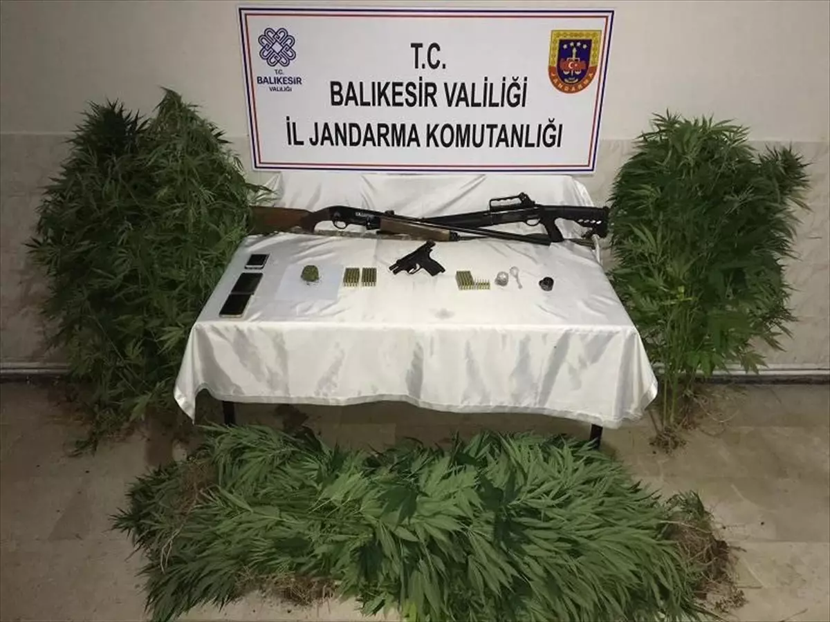 Balıkesir Bandırma'da Uyuşturucu Operasyonu: 4 Kişi Yakalandı