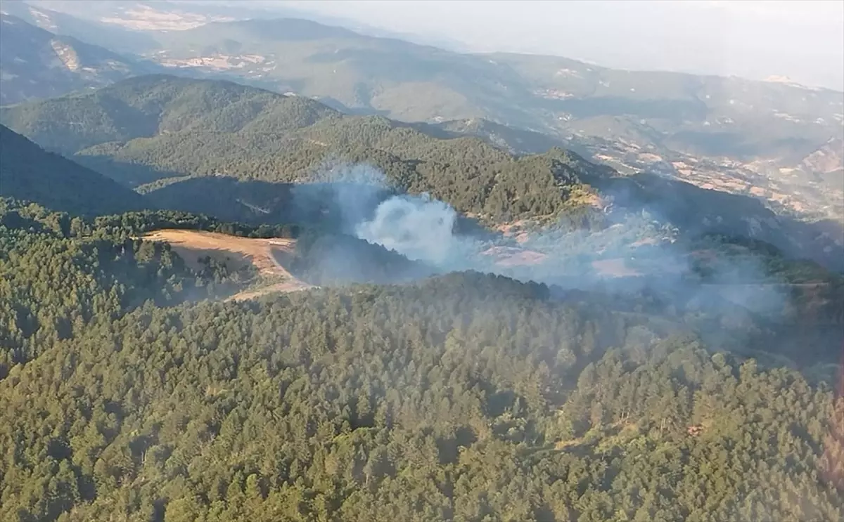 Balıkesir İvrindi'de çıkan orman yangını kontrol altına alındı
