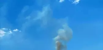 Uşak'ın Banaz ilçesinde ormanlık alanda yangın çıktı