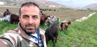Kayseri'de Halep Keçisi Çiftliği Kuruldu