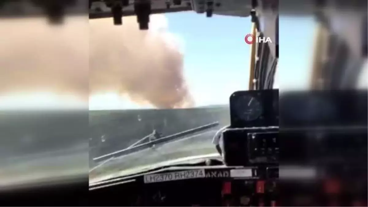 Didim'de makilik ve zirai alan yangını