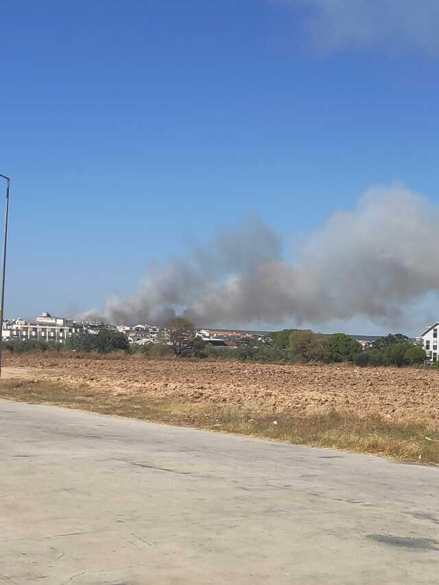 Didim'de yangın var mı? Didim'de yangın nerede? 8 Ağustos Didim yangın haberleri!