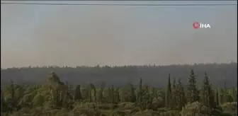 Didim'deki makilik yangını sürüyor
