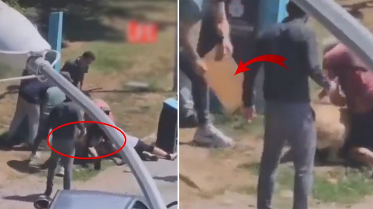 Tasmasız gezdirilen köpek İstanbul'un göbeğinde dehşet saçtı