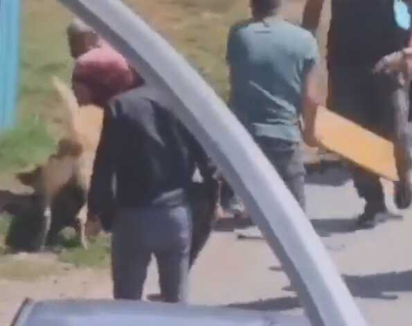 İstanbul'un göbeğinde kan donduran görüntü! Tasmasız gezdirilen köpek dehşet saçtı