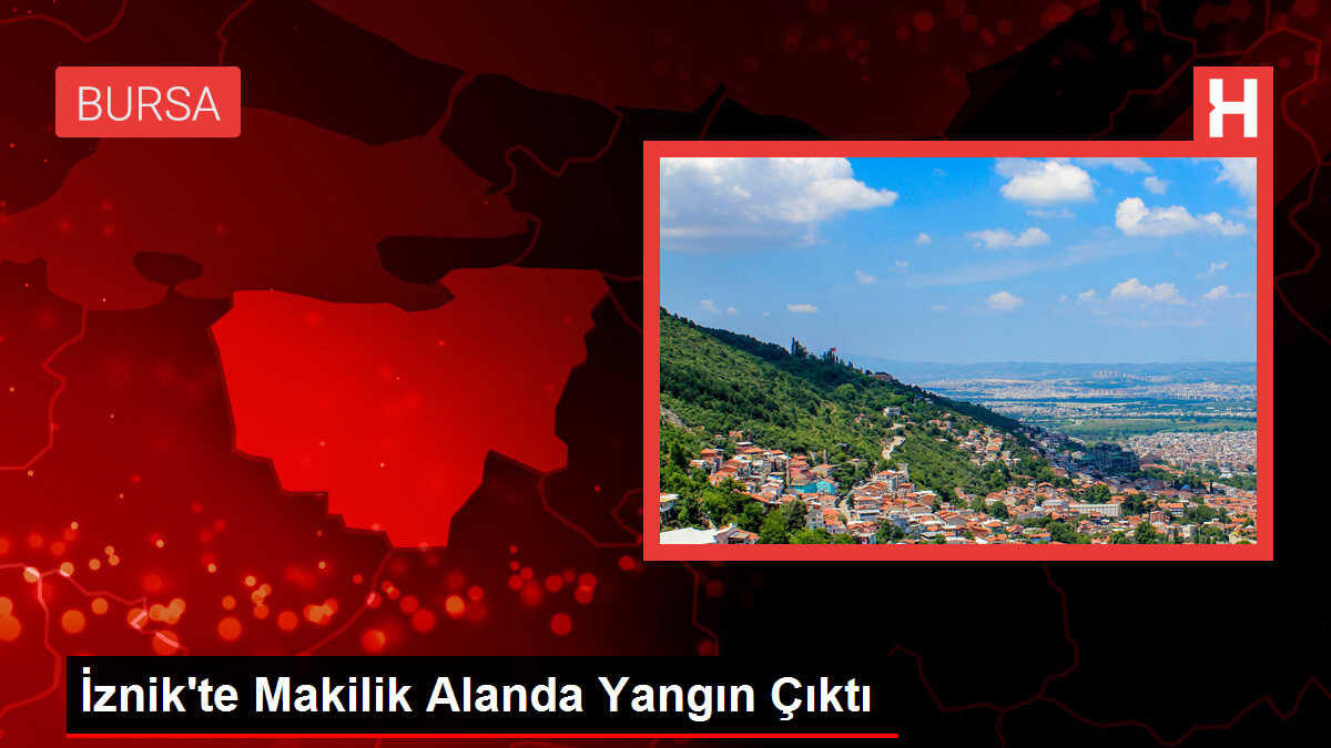 İznik'te Makilik Alanda Yangın Çıktı