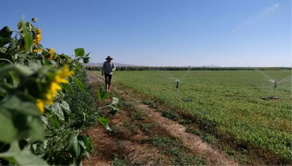 Konya Ovası'nda Tarım Arazilerinde Su Kuyularının Derinliği Artıyor