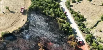 Manisa'nın Kula ilçesinde çıkan yangın kontrol altına alındı