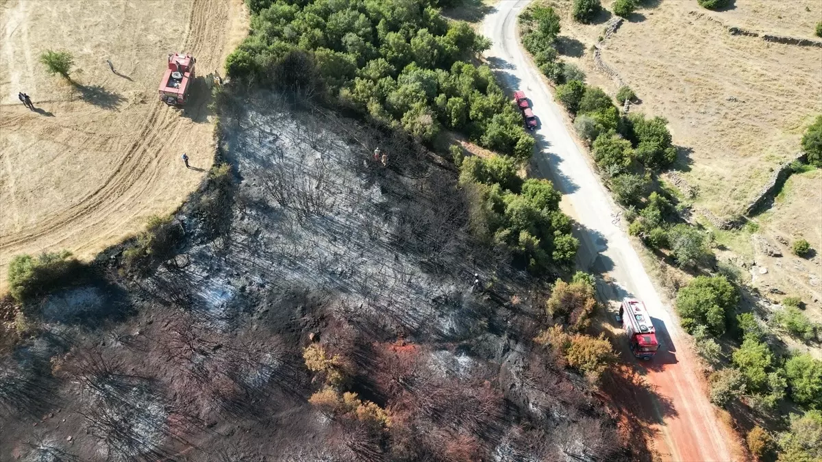 Manisa'nın Kula ilçesinde çıkan yangın kontrol altına alındı