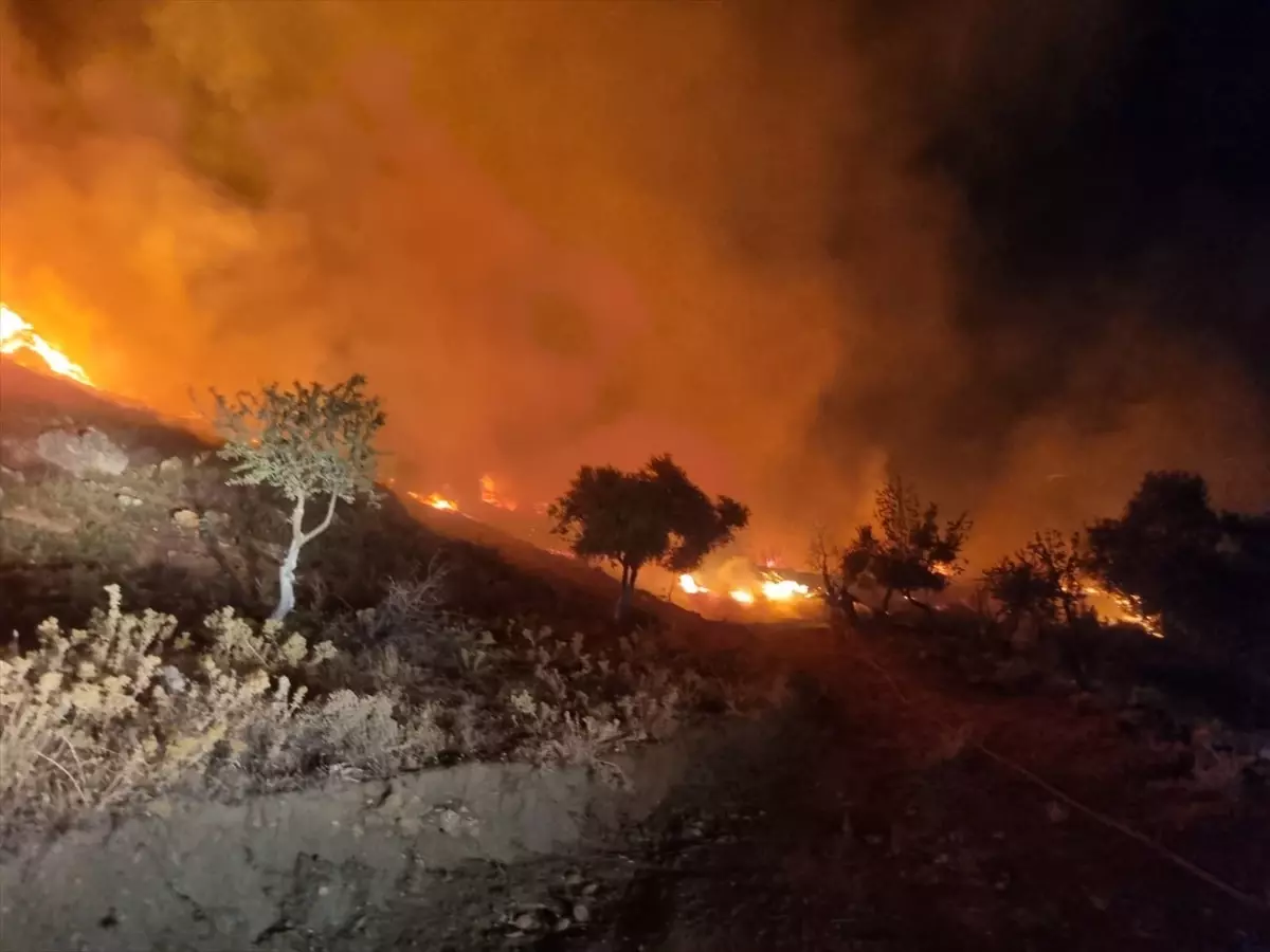 Muğla'da çıkan yangında 1 dönüm alan zarar gördü