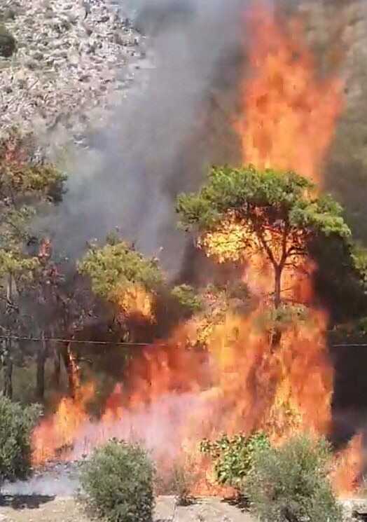 Muğla'da Orman Yangınının Çıkış Anı Kamerada Muğla'da Orman Yangınının Çıkış Anı Kamerada