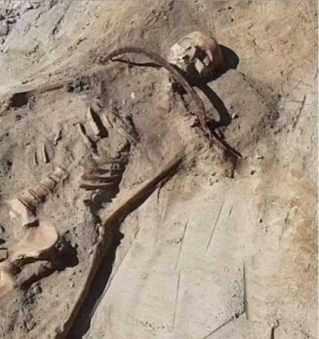 Polonya'da ayak bilekleri demir kilit ile bağlanmış çocuk vampir kalıntısı bulundu Polonya'da ayak bilekleri demir kilit ile bağlanmış çocuk vampir kalıntısı bulundu