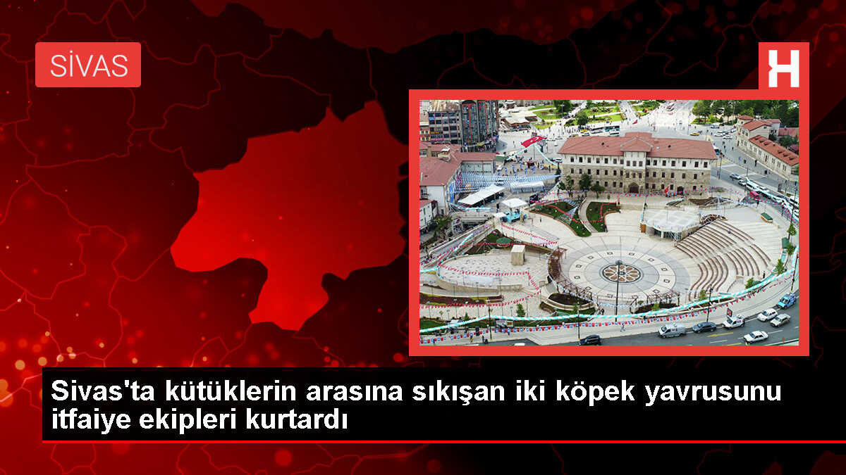 Sivas'ta Korkuluk Arasına Sıkışan Köpek Yavrusu Kurtarıldı