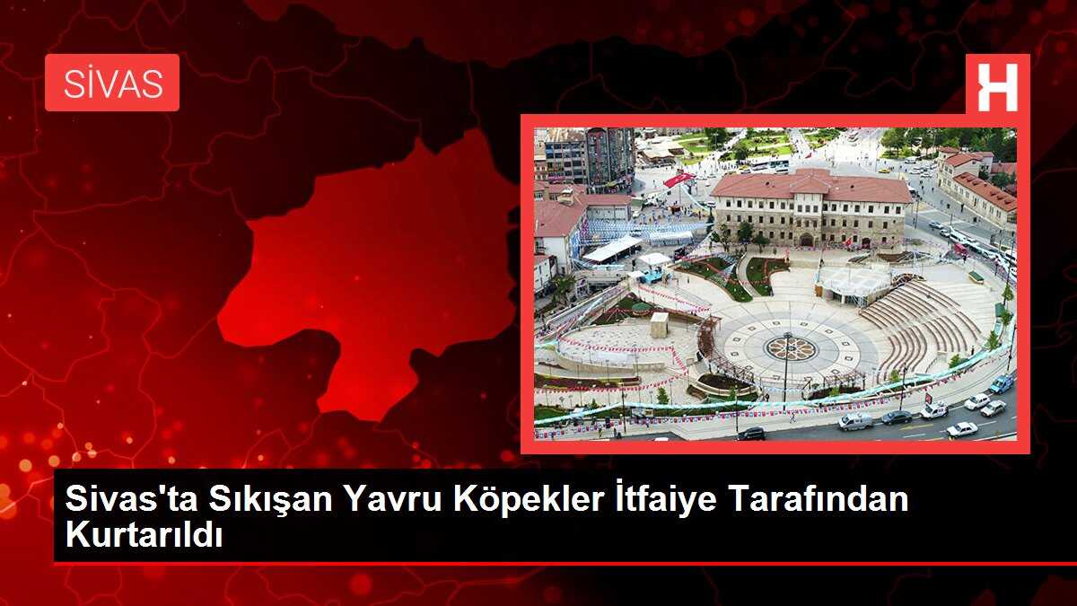 Sivas'ta Sıkışan Yavru Köpekler İtfaiye Tarafından Kurtarıldı