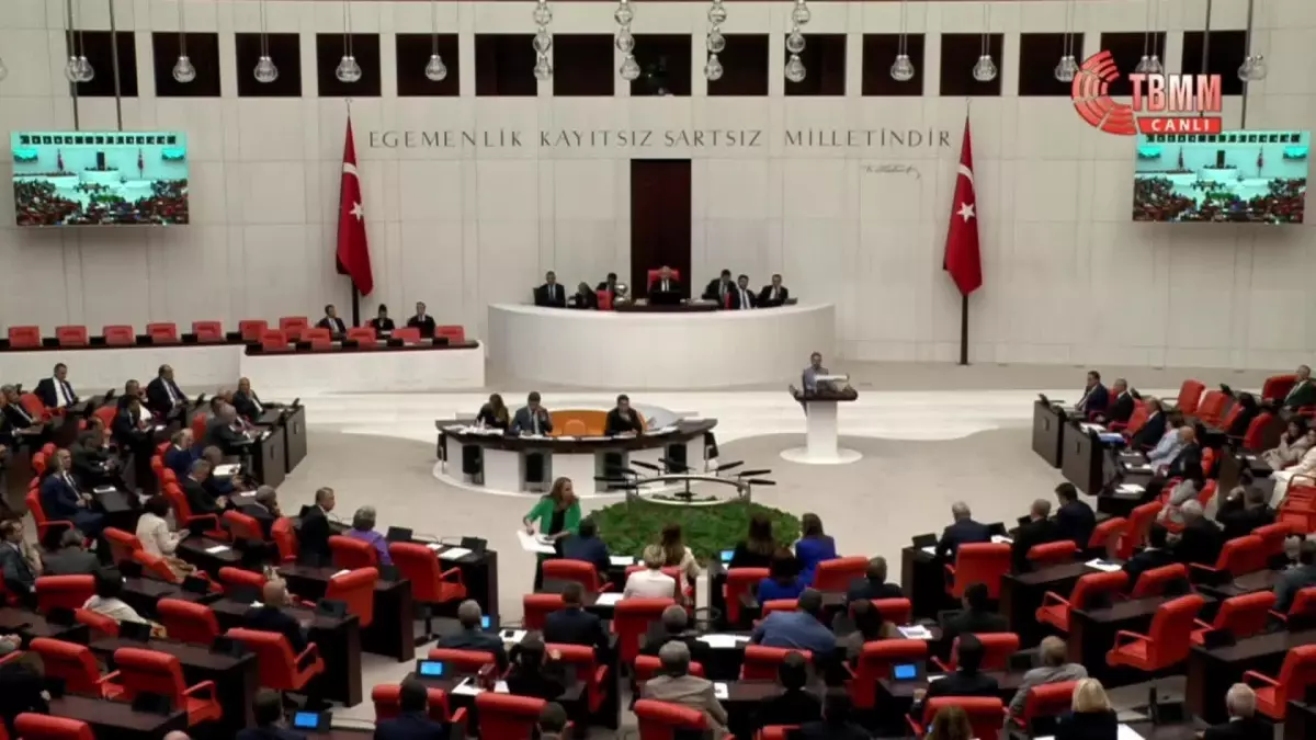 CHP Milletvekili Süreyya Öneş Derici, Akbelen'deki ağaç kıyımıyla ilgili TBMM Genel Kurulu'nda konuştu
