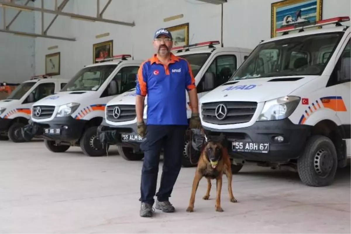 AFAD'ın kadavra köpeği Abrek, doğal afetlerde ve adli vakalarda aktif rol alıyor