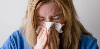 Alerjik ve kronik sinüzit belirtileri nedir? Sinüzit hastalığı: Türleri, tedavisi ve yaşam kalitesine etkisi