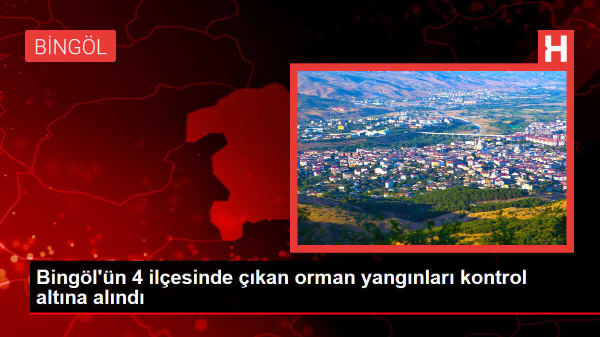 Bingöl'ün 4 ilçesinde çıkan orman yangınları kontrol altına alındı