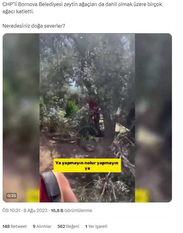 Bornova Belediyesi'nin zeytin ağacı kıyımına mahalle sakinlerinden tepki