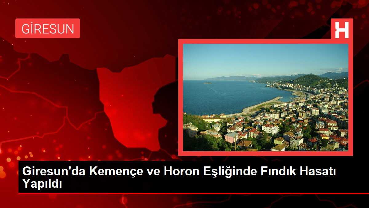 Giresun'da Kemençe ve Horon Eşliğinde Fındık Hasatı Yapıldı